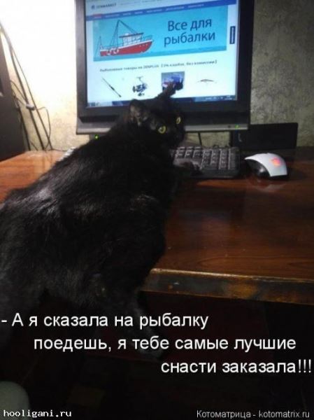 <br />
				Новая котоматрица на hooligani.ru (23 фото)<br />
							