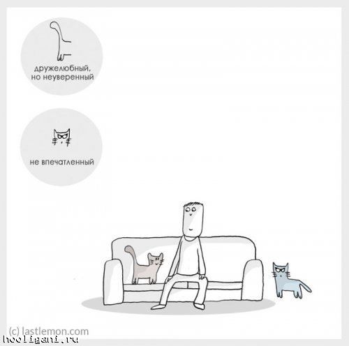 <br />
				Кошачий язык в забавных комиксах (16 фото)<br />
							