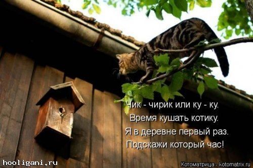 <br />
				Новая котоматрица на hooligani.ru (23 фото)<br />
							