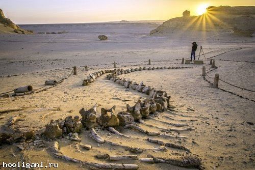<br />
				ТОП-10: Скрытые тайны пустыни Сахара<br />
							