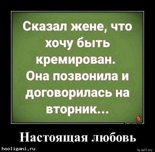 <br />
				Пятничные демотиваторы (16 шт)<br />
							