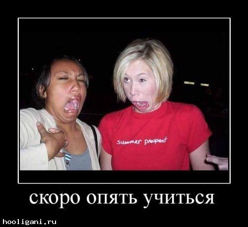 <br />
				Пятничные демотиваторы (16 шт)<br />
							