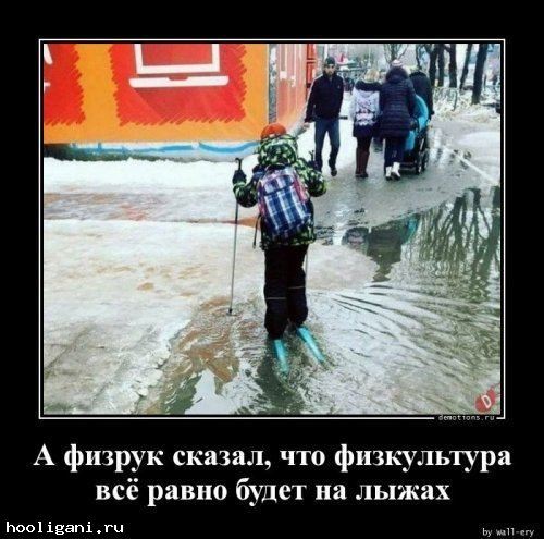 <br />
				Пятничные демотиваторы (16 шт)<br />
							