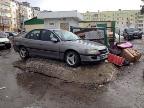 Фото-приколы и картинки в субботу (29 шт)